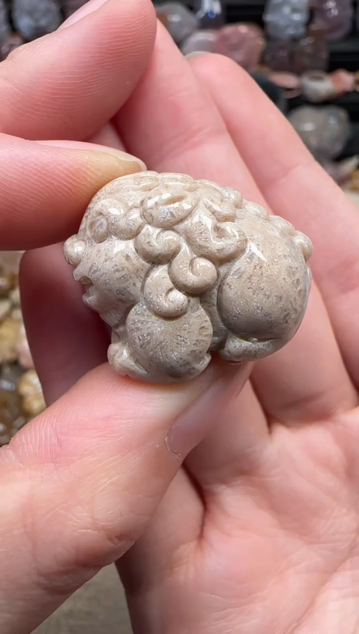 颈饰未镶嵌硅化珊瑚（珊瑚玉）086