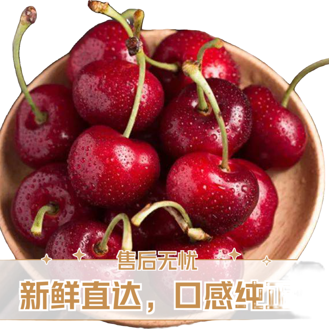 本地【美早樱桃】一斤/两斤1J精品小果/京东顺丰包邮美早北京市