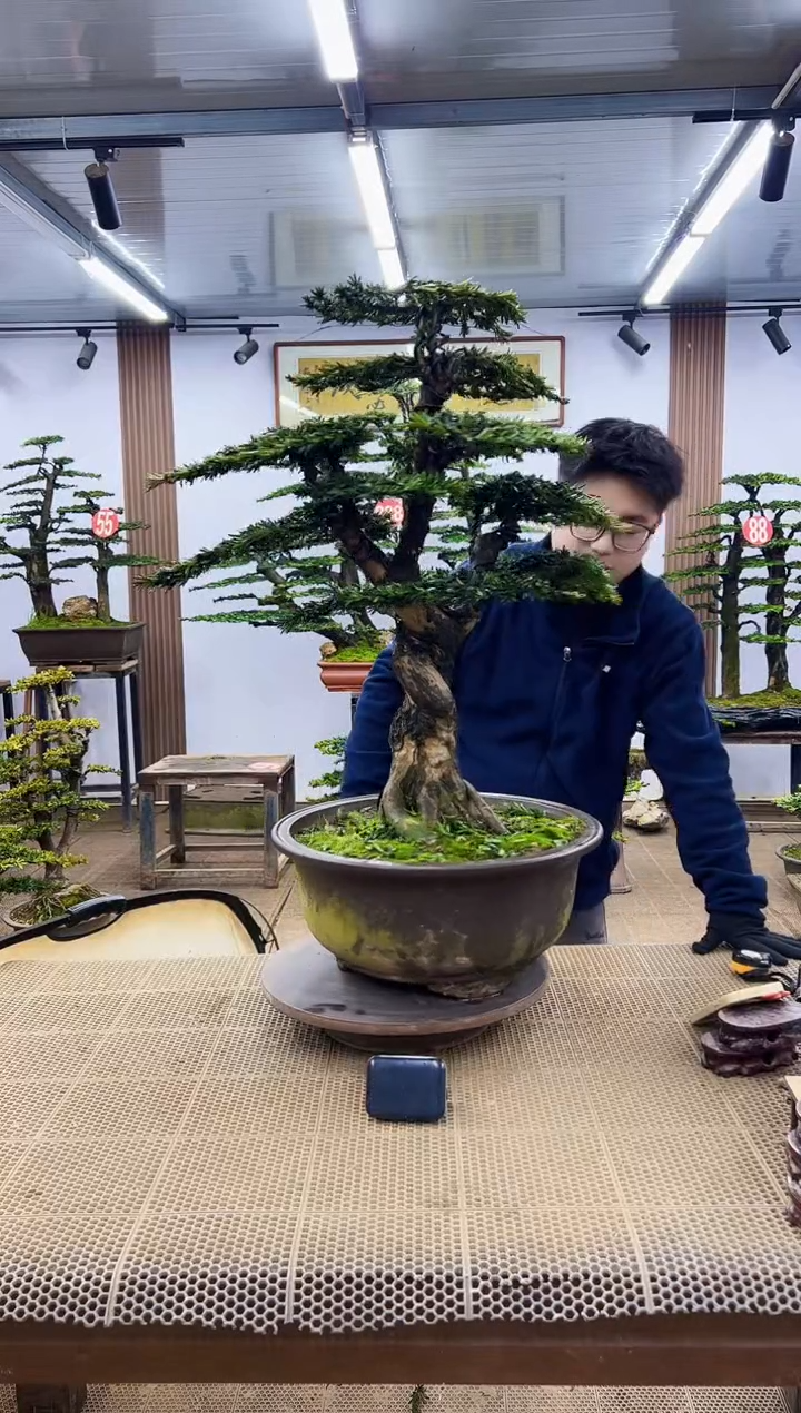 【闪购商品】一物一拍，所见即所得