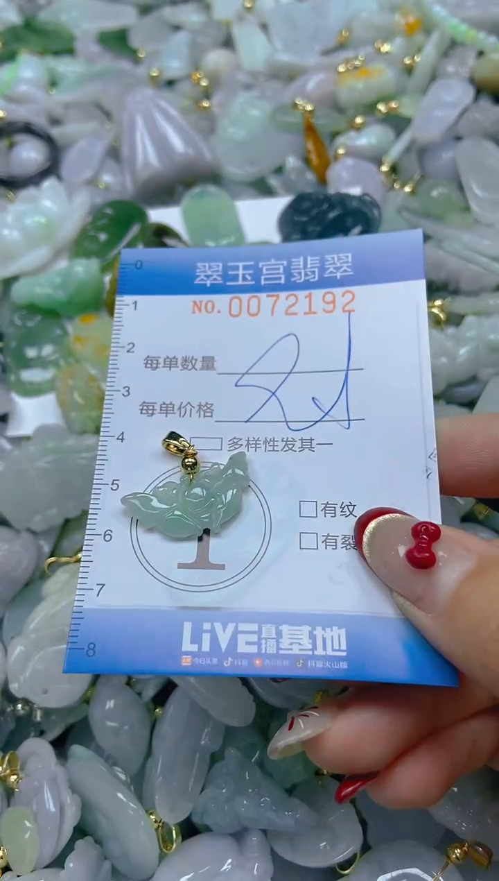 【闪购商品】翡翠颈饰未镶嵌闪购0072192