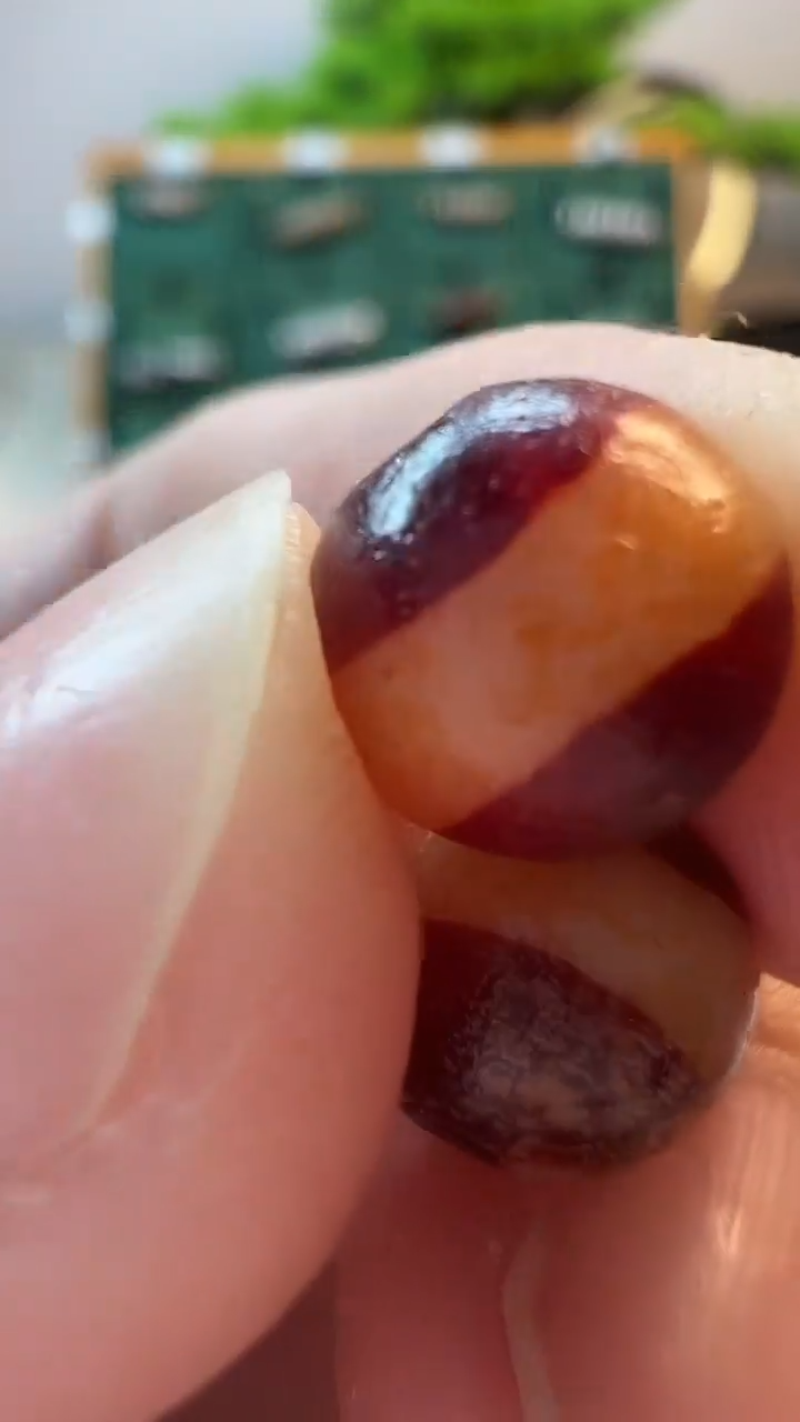 玛瑙/玉髓（覆膜）颈饰未镶嵌79（微瑕随机发货）