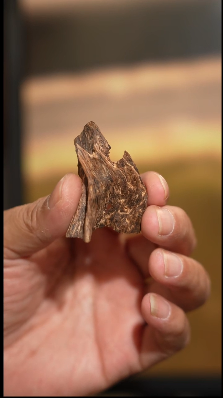 沉香沉香碎屑海南尖峰岭山里奇楠碎屑2.5克