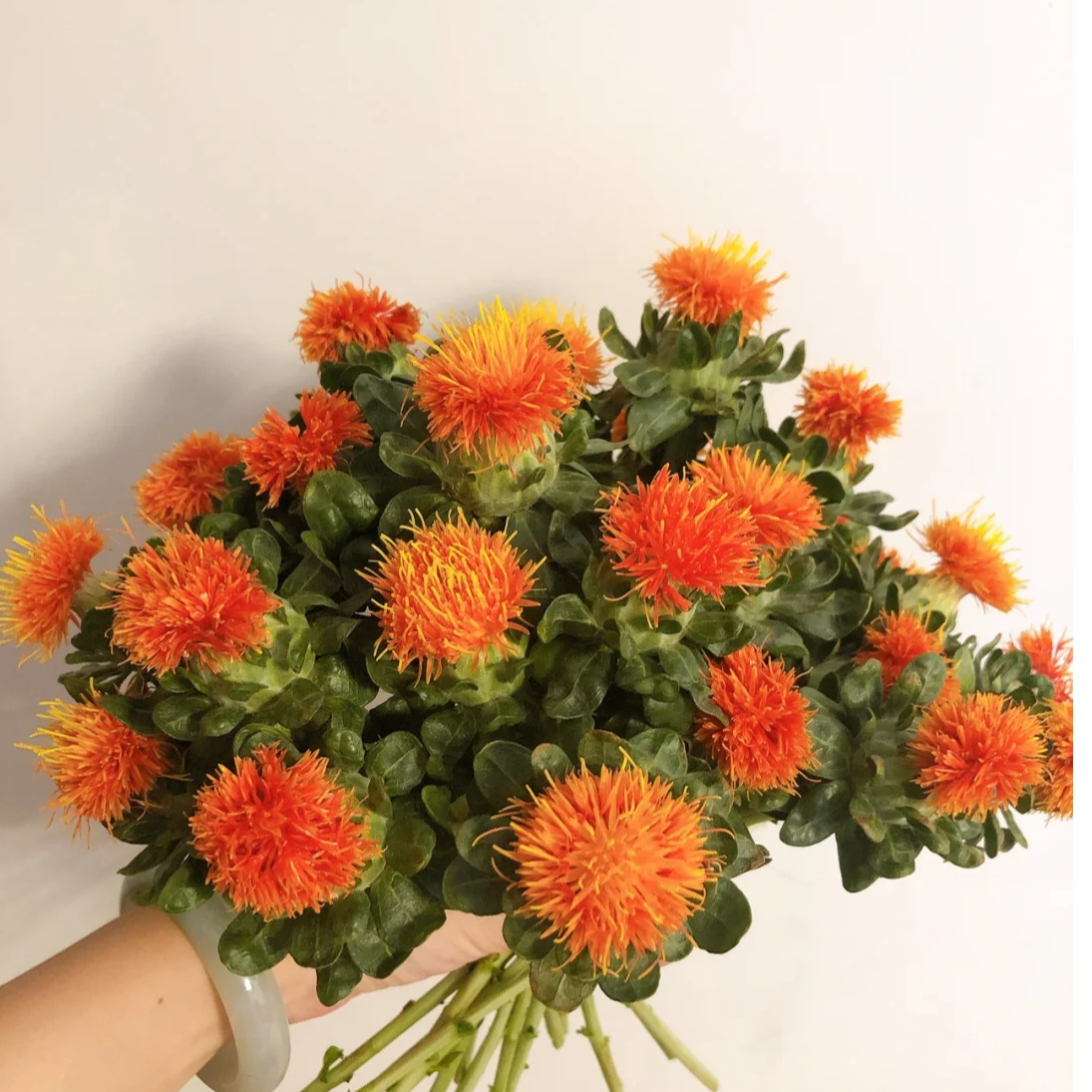 【橙菠萝】鲜切花云南鲜花昆明基地现采现发
