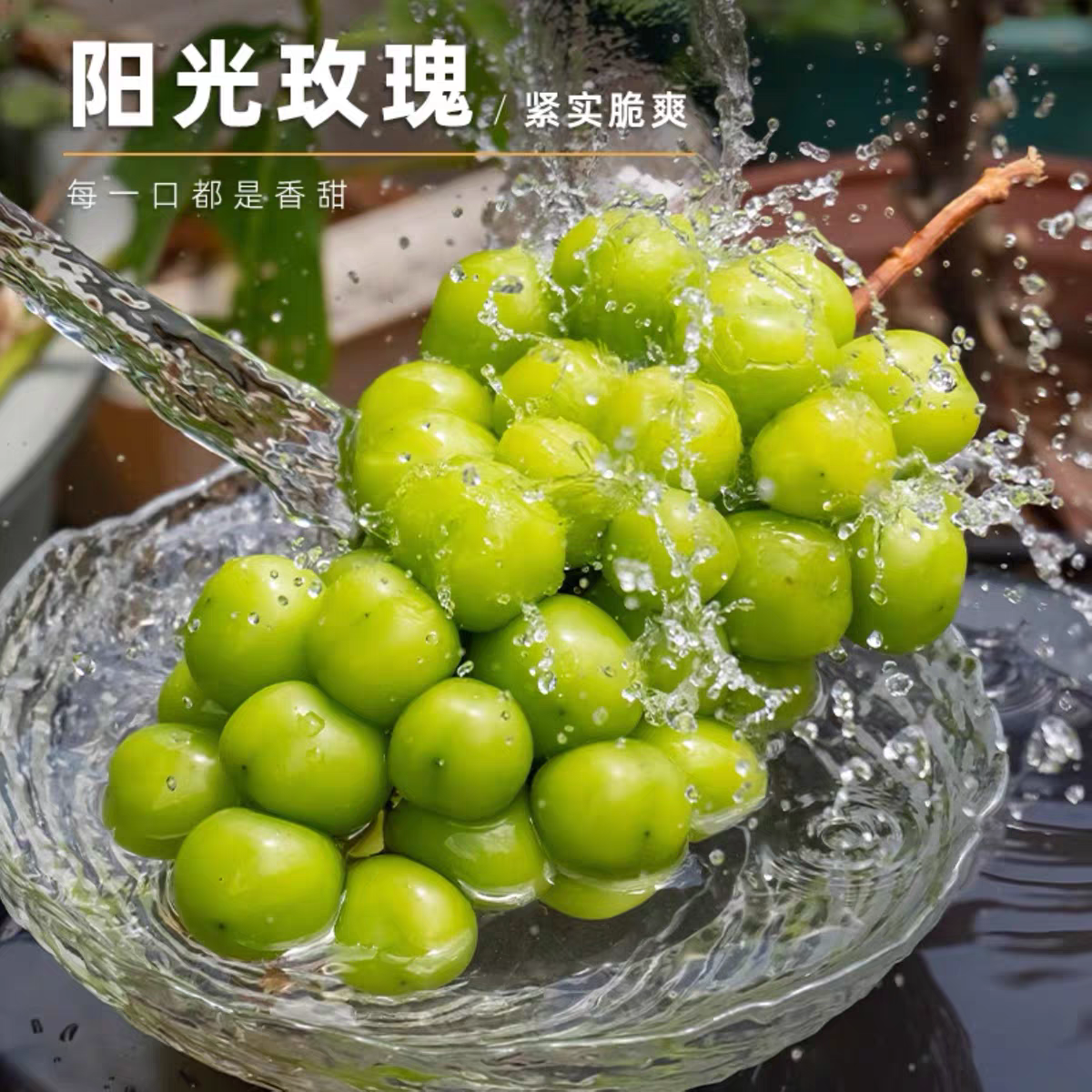 【次日达】云南晴王葡萄2.3-3斤 京东包邮新鲜葡萄同城送云南省