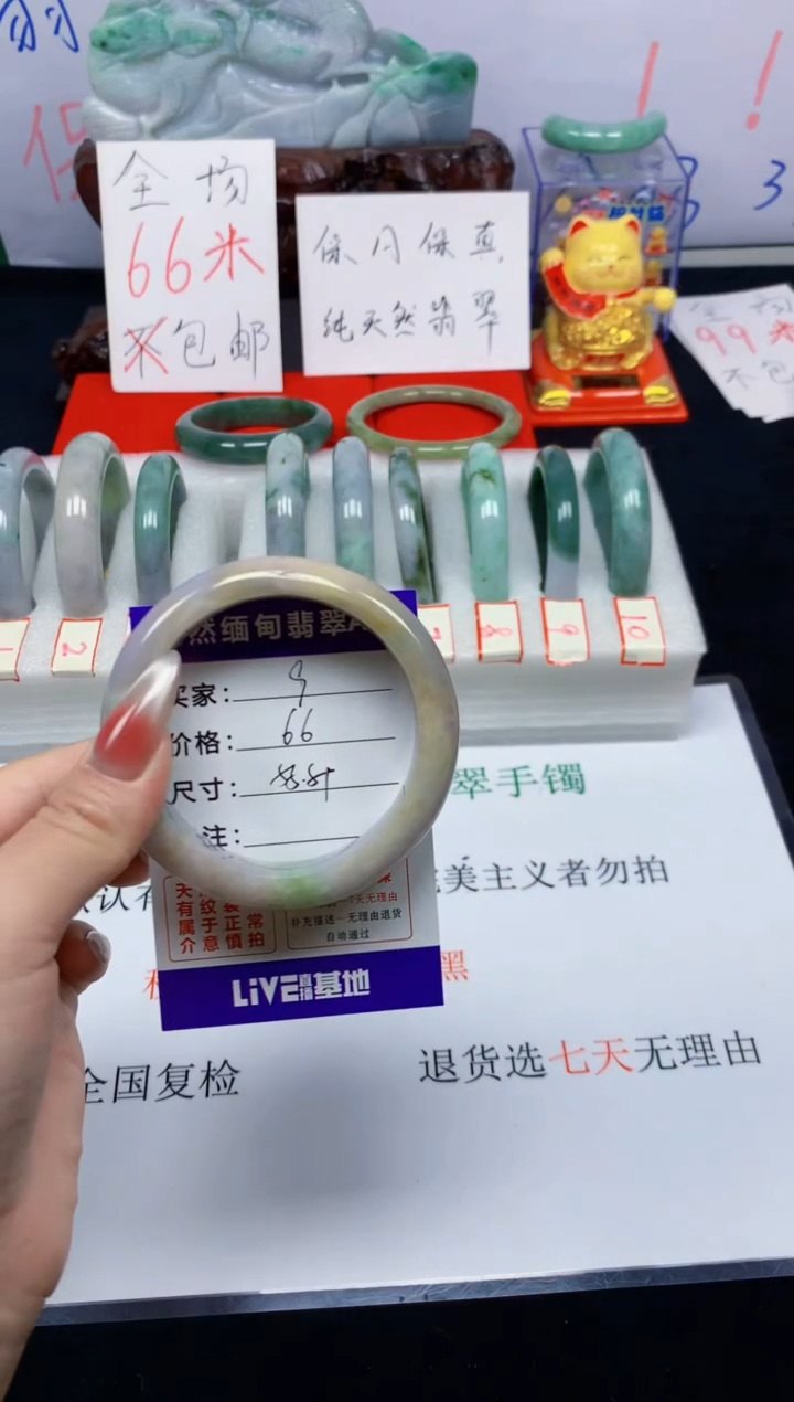 未镶嵌手镯翡翠9