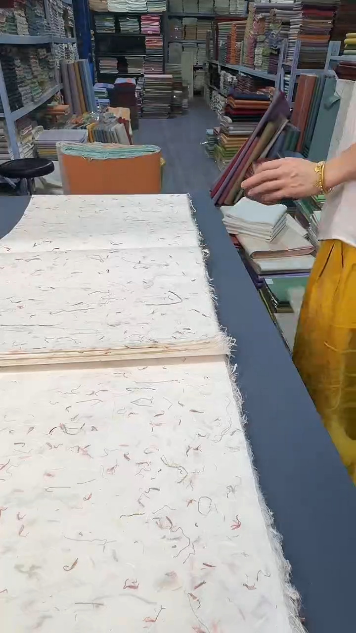 纯手工四尺对开25张青丝红花雁楮清水云龙半生熟