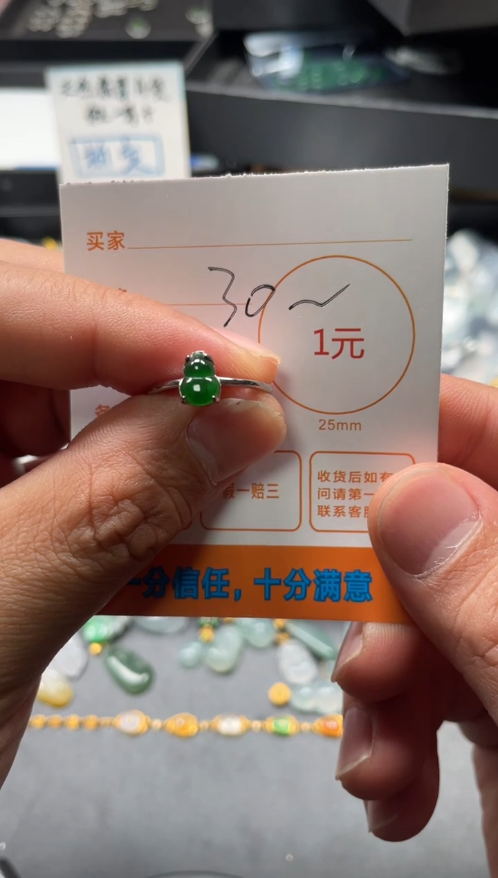 颈饰未镶嵌翡翠挂件