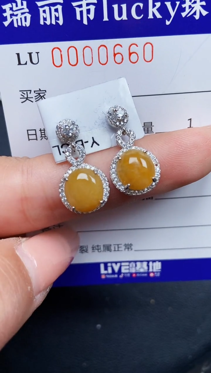 【闪购商品】翡翠颈饰银S925镶嵌0660