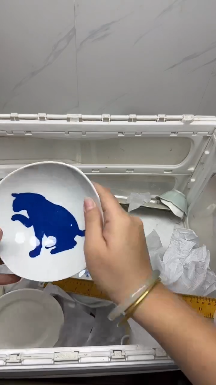 【闪购商品】6820回流瓷器默认微瑕，18.8包邮
