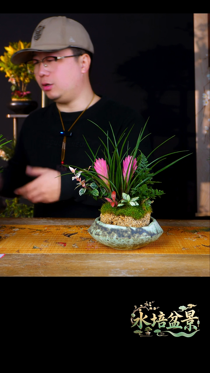 石云社一物一拍组合盆栽7
