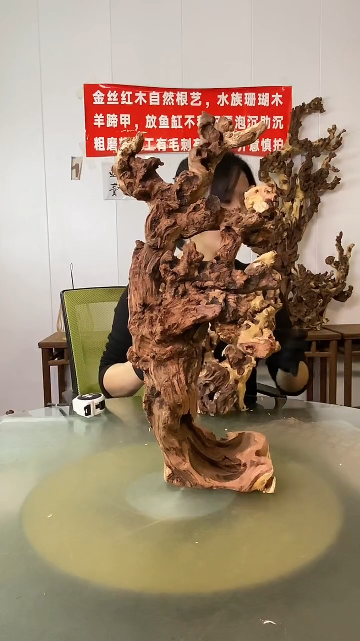 木跳**孩金丝红木 羊蹄甲