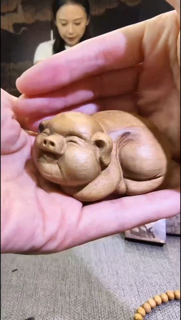 金丝楠      猪猪