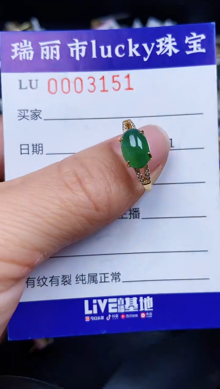 翡翠银S925镶嵌颈饰3151