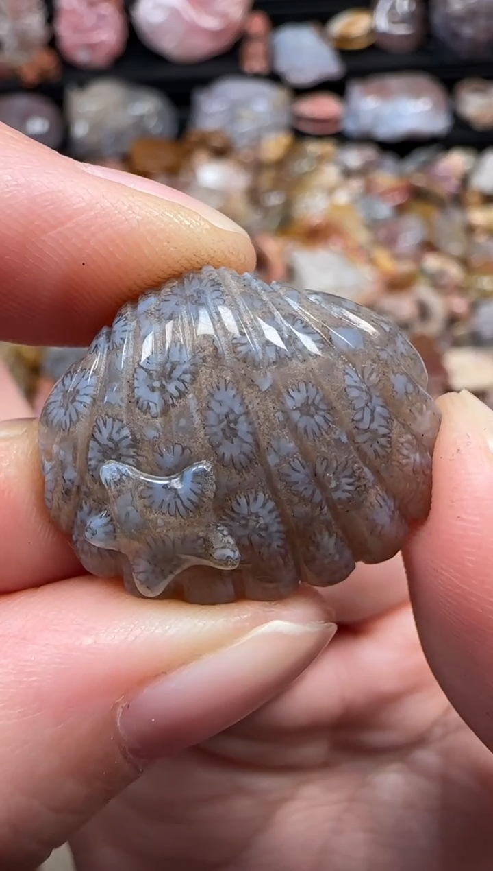 颈饰未镶嵌硅化珊瑚（珊瑚玉）224