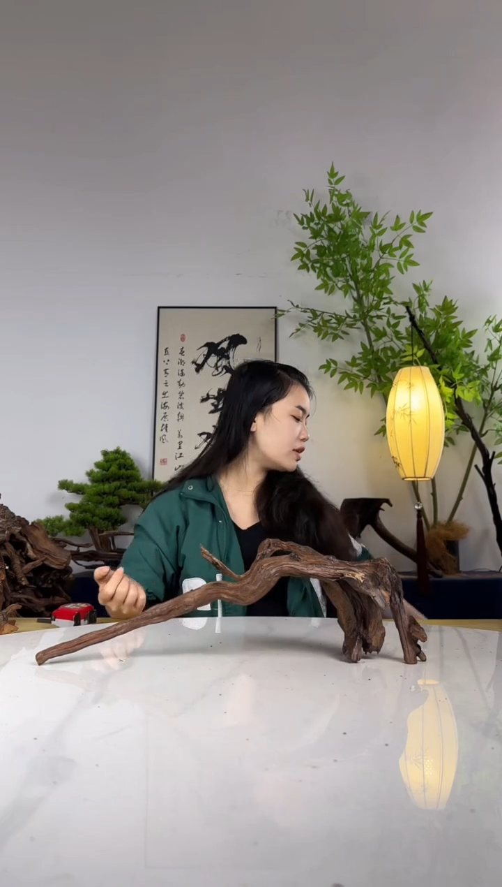 ??拍这个定向编号55