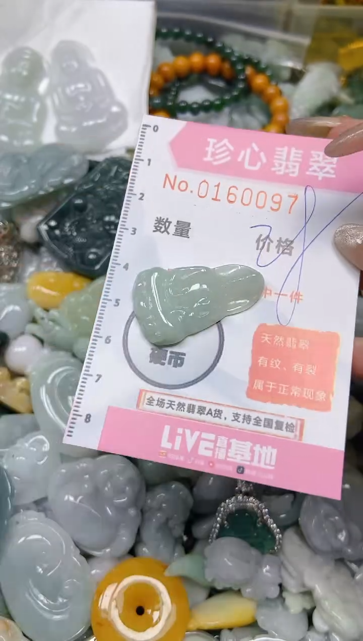 【闪购商品】翡翠颈饰未镶嵌闪购0160097