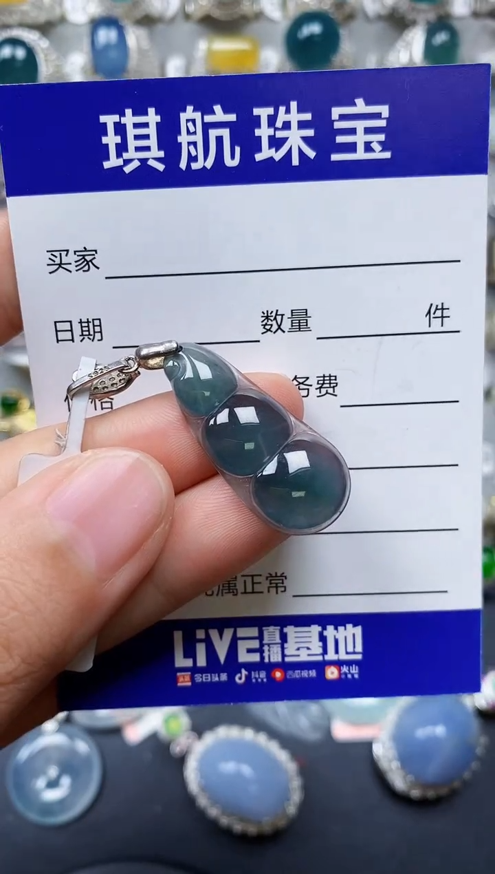 【闪购商品】翡翠颈饰银S925镶嵌0215