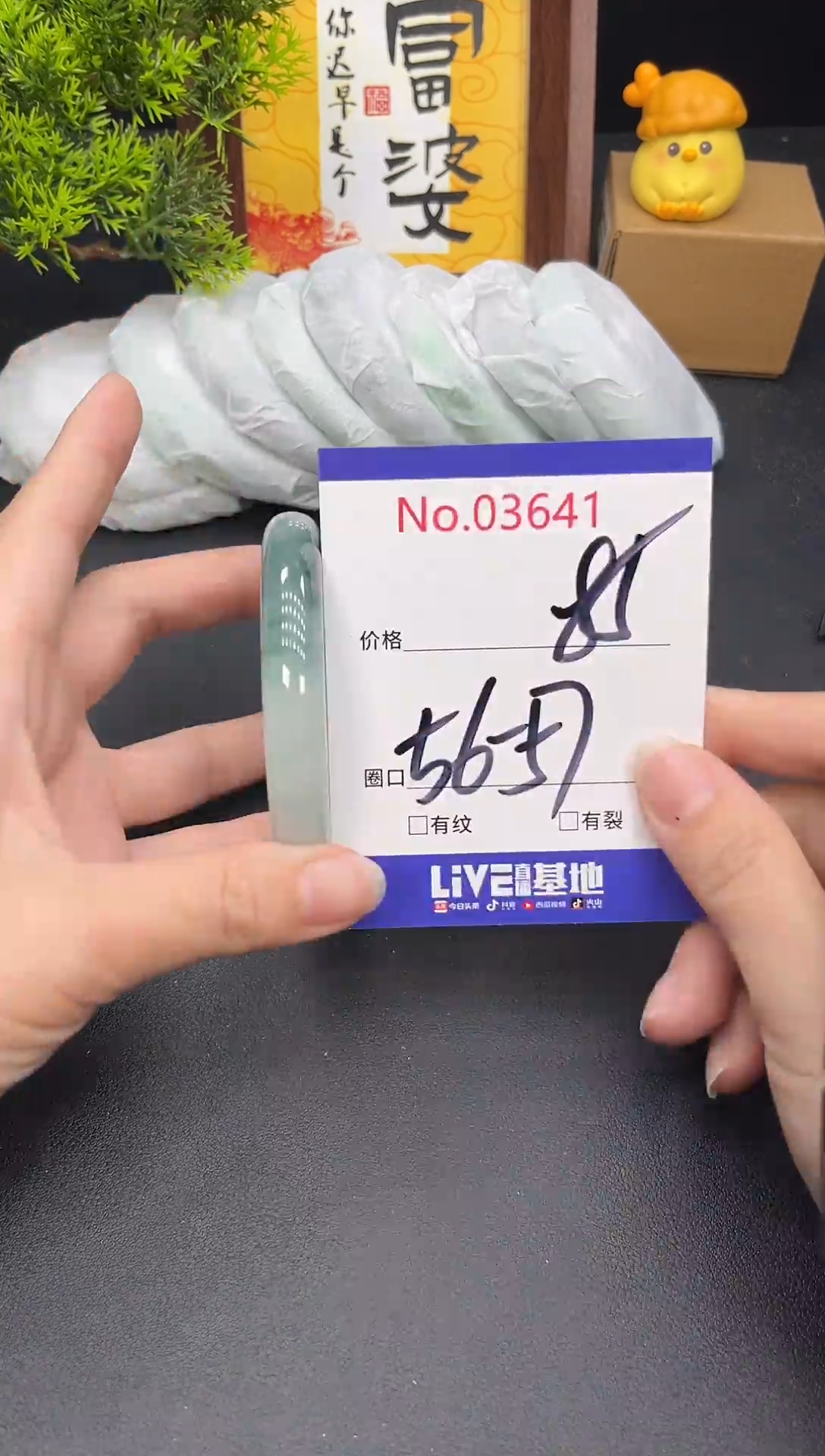 未镶嵌手镯翡翠3641