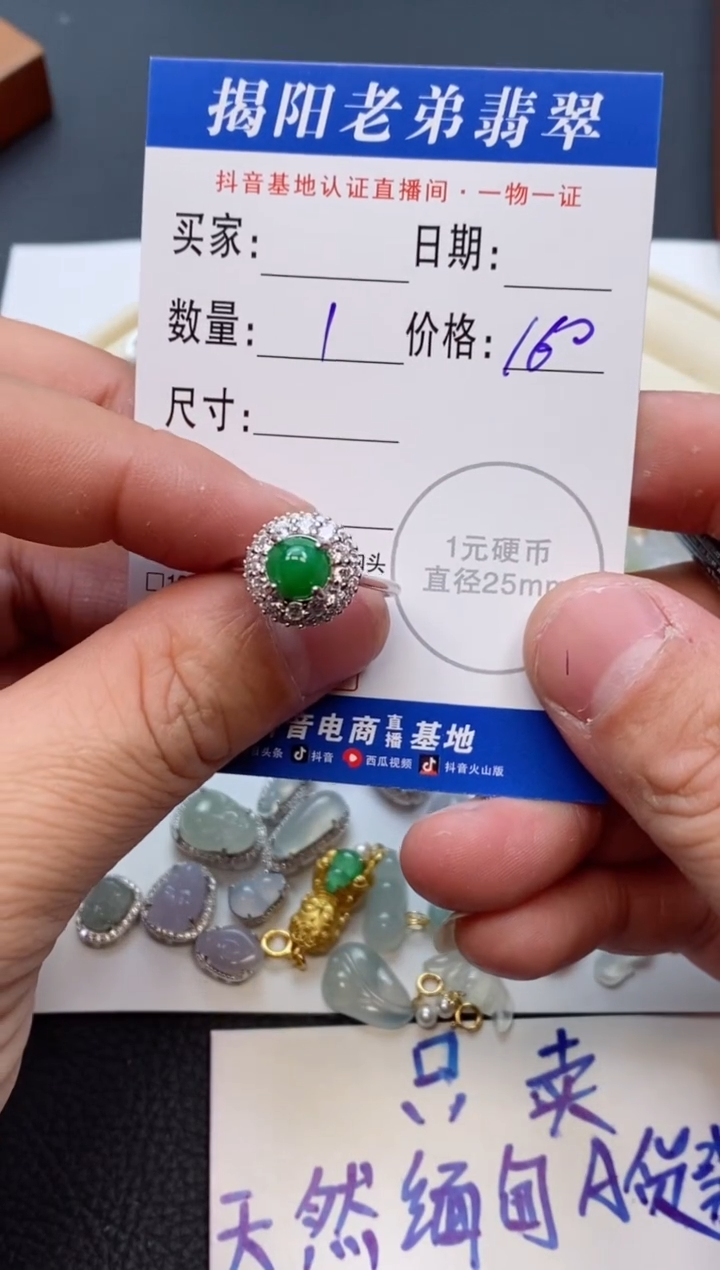 【闪购商品】翡翠颈饰银S925镶嵌多样性发其中一件