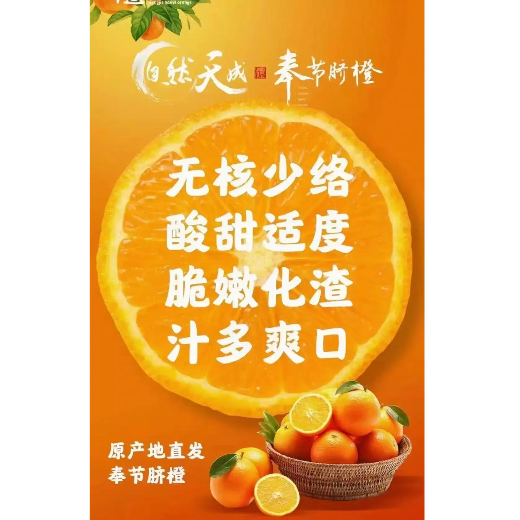 奉节脐橙果园直发小果椭圆形