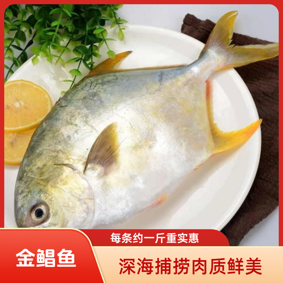 新鲜金鲳鱼1斤左右/条*2条鲜活冷冻大金昌鱼平鱼深海鱼海鲜水产