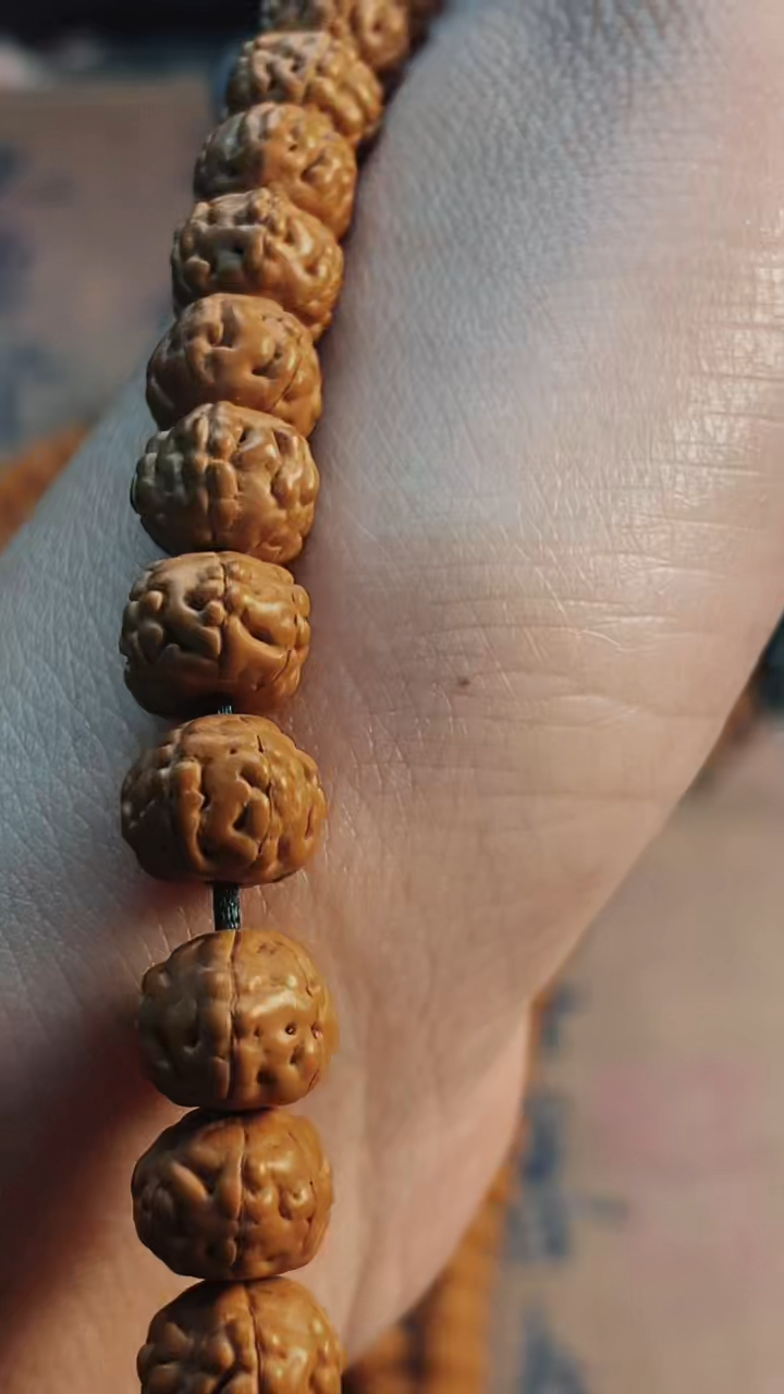 【闪购商品】文玩原皮龙鳞六瓣金蟾9-10mm