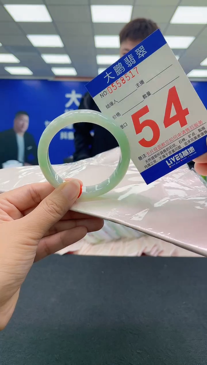 未镶嵌手镯翡翠AAAAAAAAAA