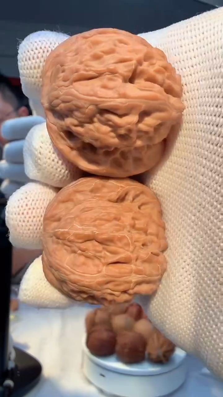 把件文玩核桃014 39正磨 