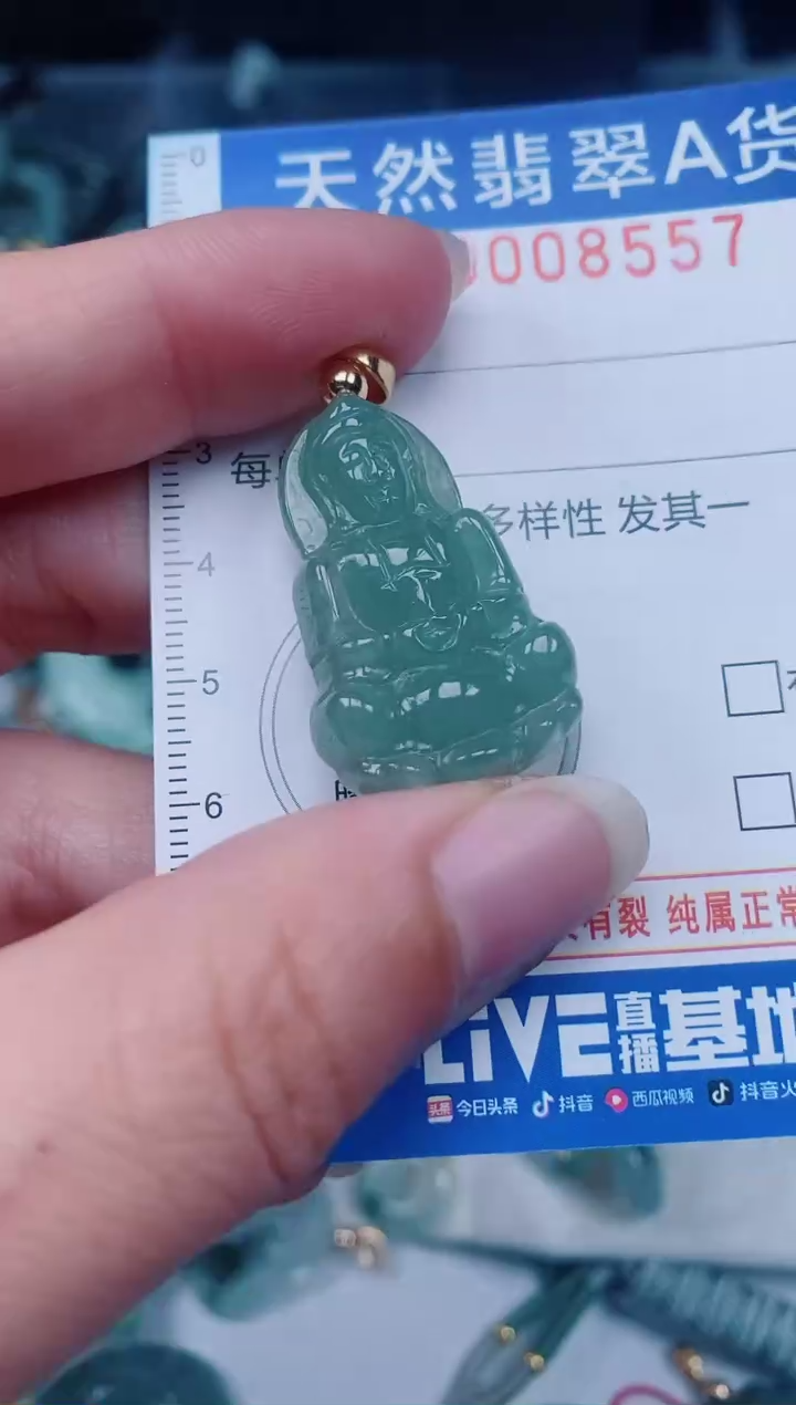 颈饰未镶嵌翡翠00008557