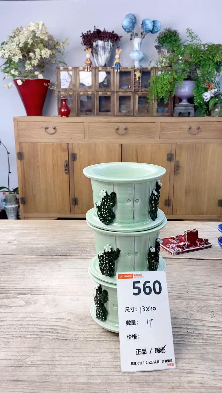 小玩子花盆直播号560