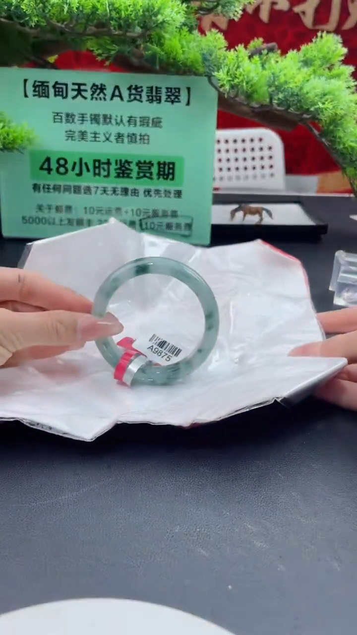 【闪购商品】翡翠手镯未镶嵌翡翠手镯6