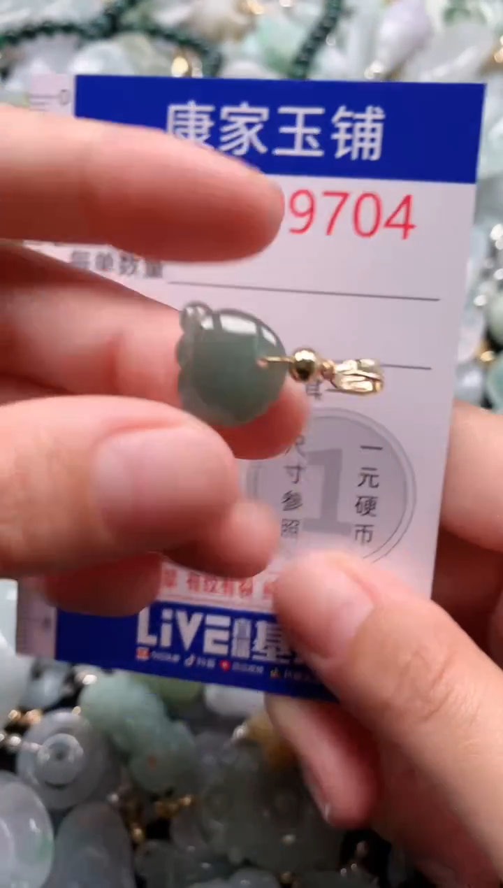 翡翠未镶嵌吊坠(不含链)9704