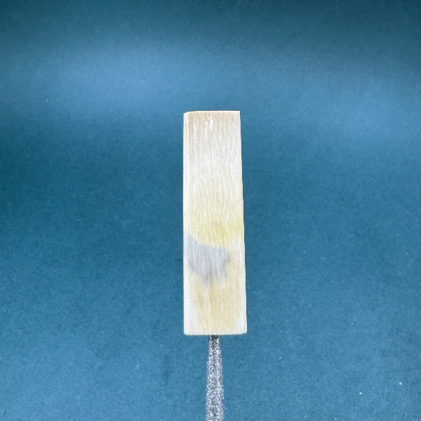 M2539天然猛犸牙一字三通9.9*8.6*36支持鉴定假一