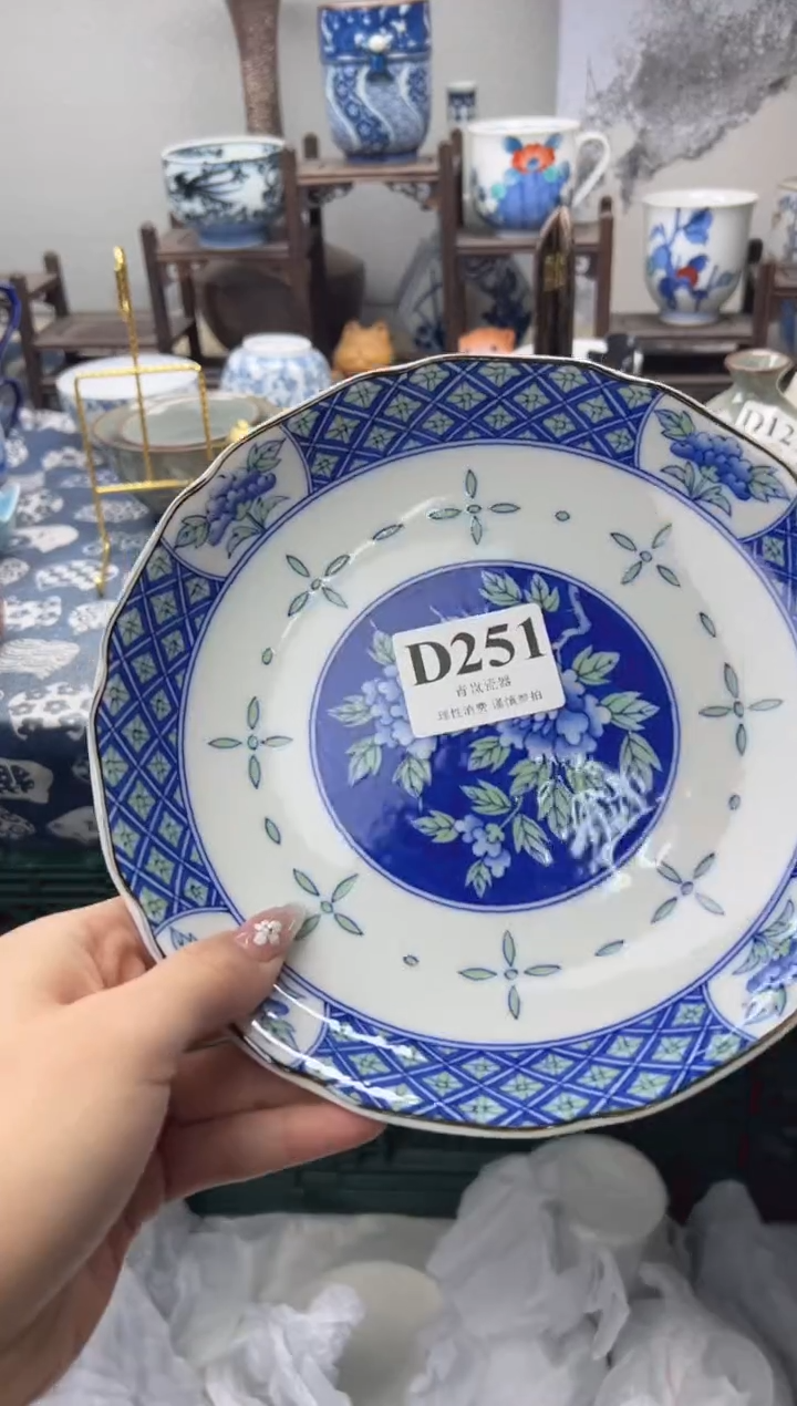 瓷片（****）    D251