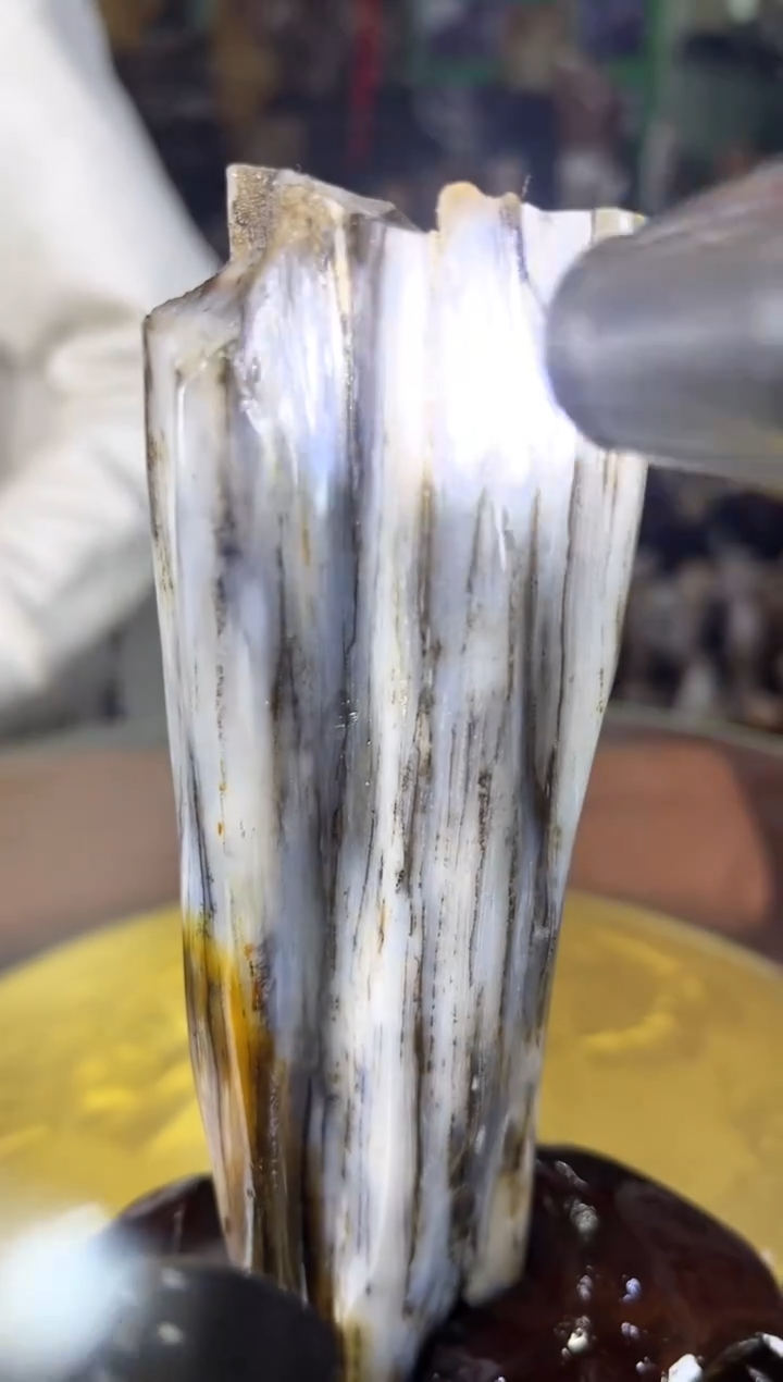 未镶嵌珠宝奇石硅化玉缅甸天然树化玉摆件