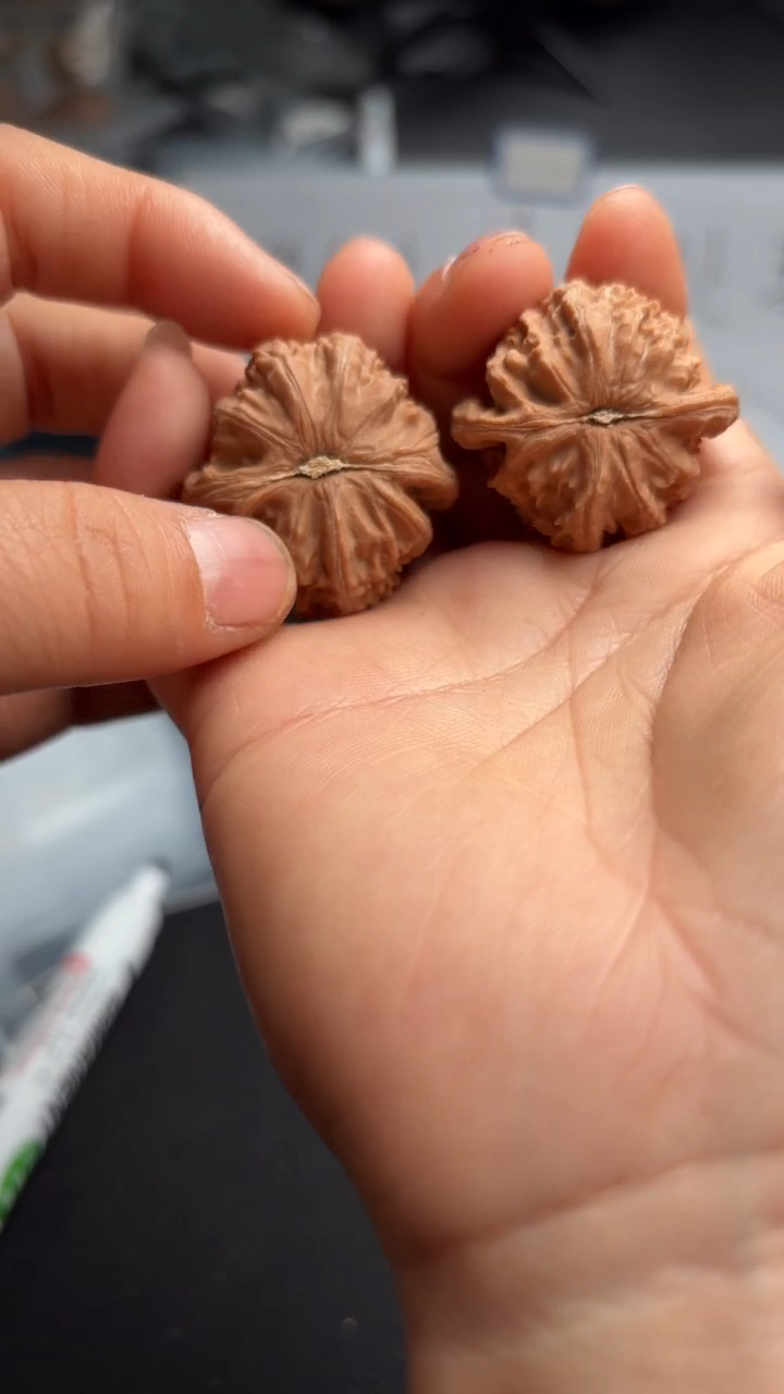 吊坠文玩核桃68白狮子