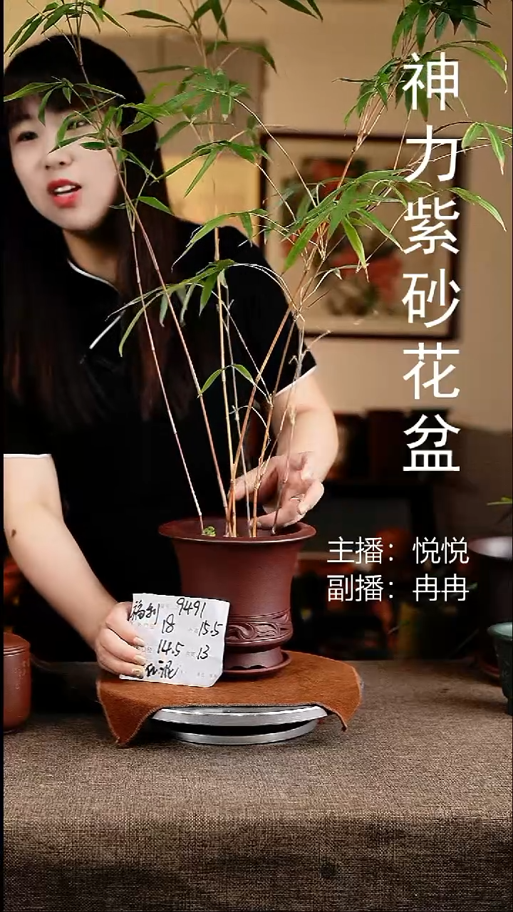 紫砂花盆花卉工艺9491+z