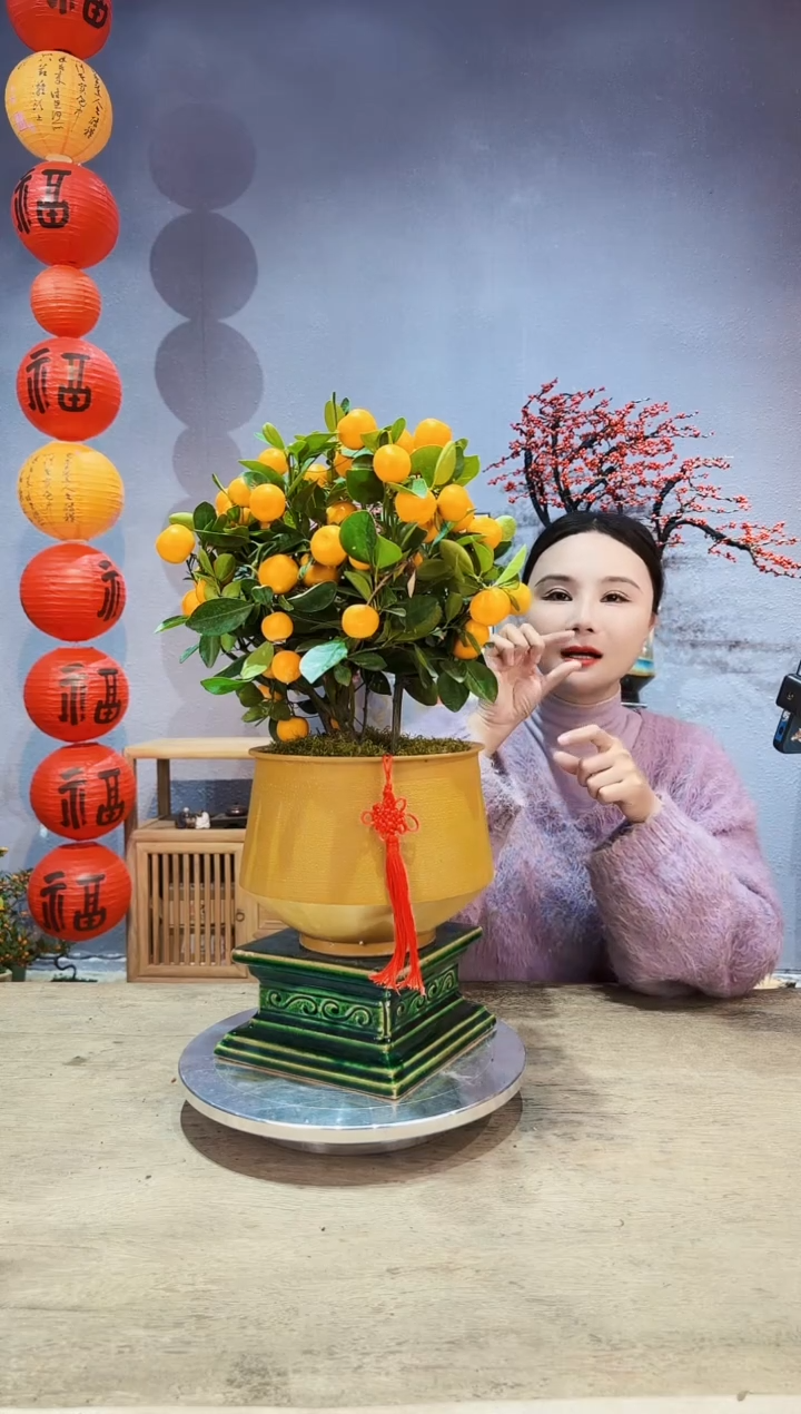 【闪购商品】盆景年桔