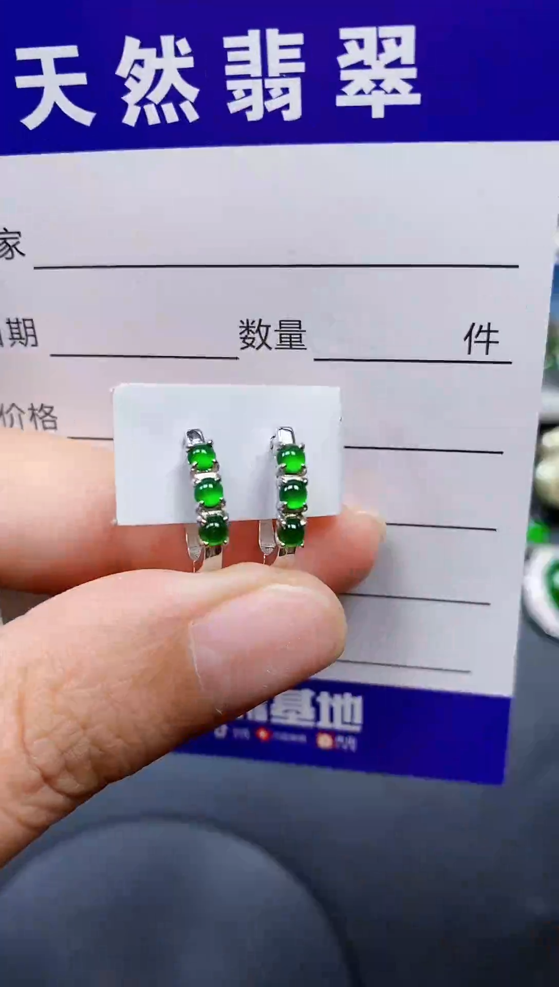 银S925镶嵌翡翠耳饰159