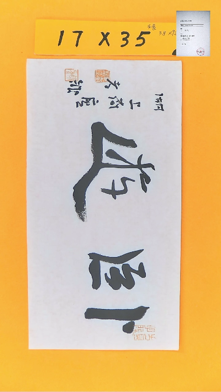 【闪购商品】书法江孝龙书法卧游17*35