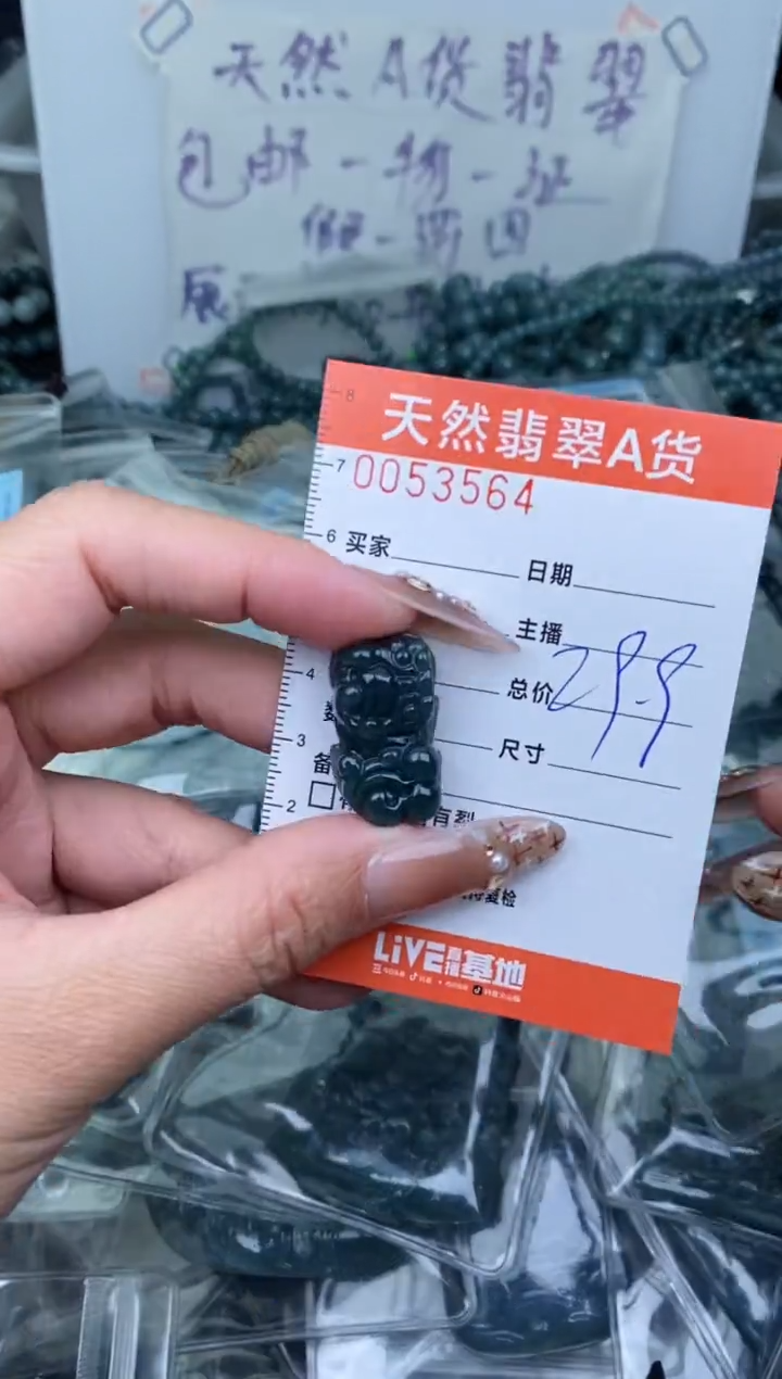 【闪购商品】翡翠颈饰未镶嵌········