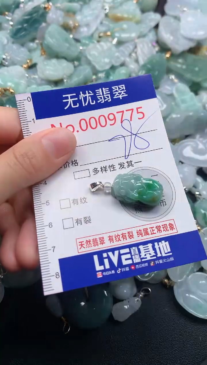 颈饰未镶嵌翡翠9775