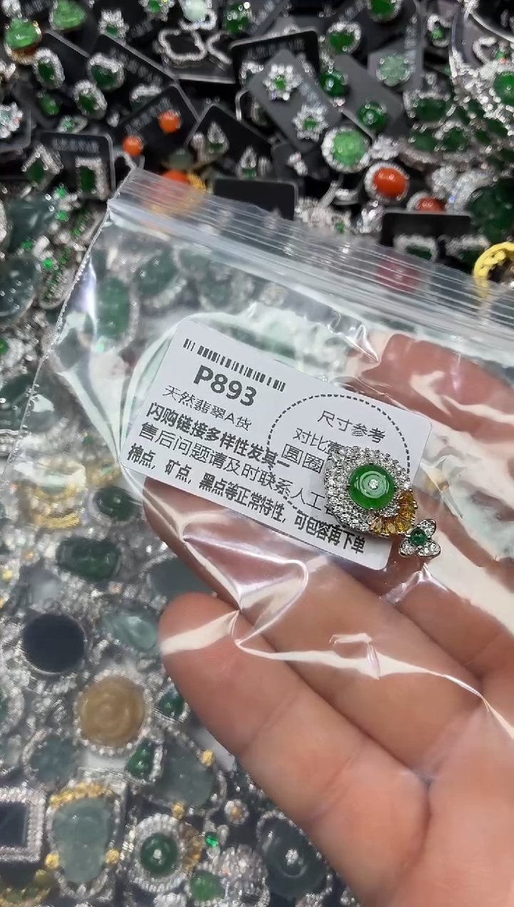 颈饰未镶嵌翡翠P893吊坠 多样性发其一