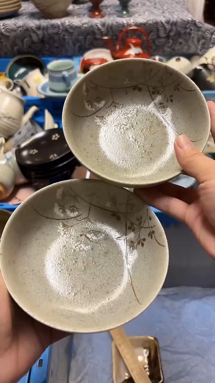 瓷片喵喵家都是大漂亮