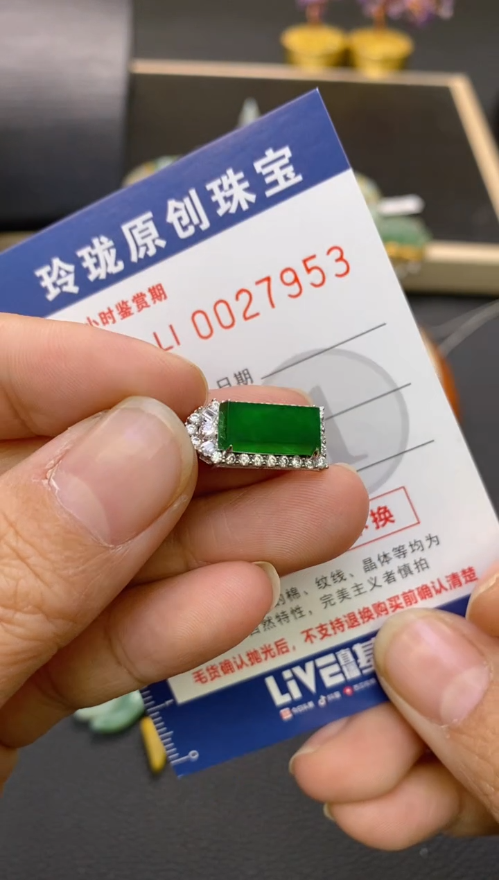 【闪购商品】翡翠颈饰未镶嵌翡翠净货27953