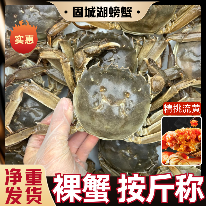 【活蟹】a16只全公蟹江苏河蟹单只1.1-1.3两 京东冷链发货