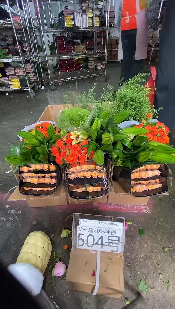 504号♥含20%耗损发一箱