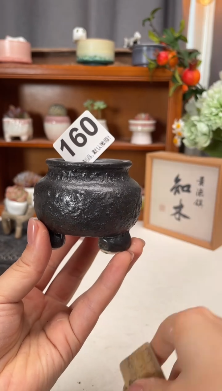 瓷片160知木小芳花盆