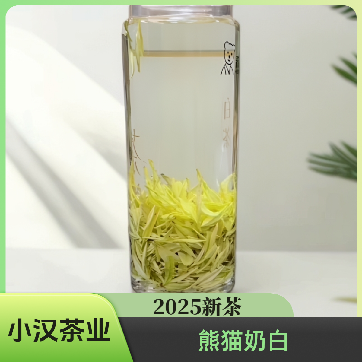 2025【熊猫奶白】A46开园头采新茶 熊猫奶香白茶