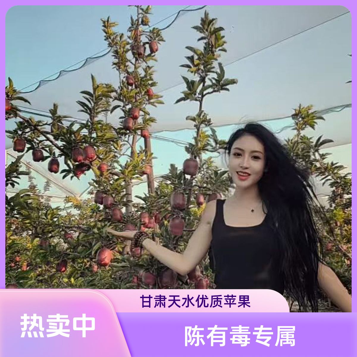 甘肃天水花牛苹果脆粉两吃新鲜多汁当季水果整箱包邮